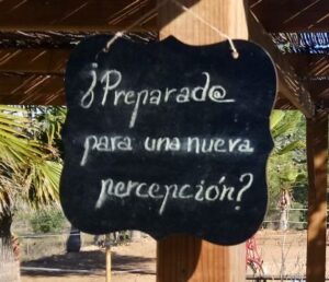 Proceso Desarrollo Personal