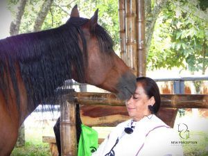 BRASIL Formación Coherencia Cardíaca con Caballos  2026